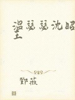 温瑟瑟沈昭摄政王