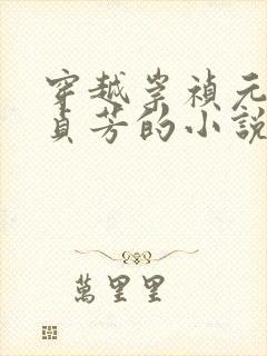 穿越崇祯元年赵贞芳的小说