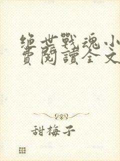 绝世战魂小说免费阅读全文在线