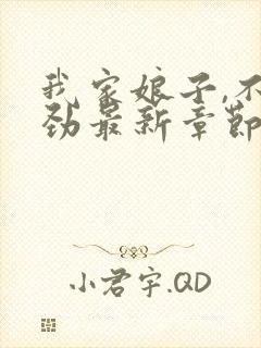 我家娘子,不对劲最新章节更新