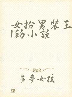 女扮男装王爷gl的小说