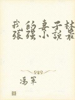 我的妻子林慧茹张强小说最新章节阅读