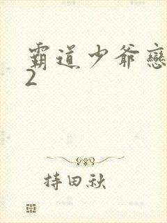 霸道少爷恋上我2