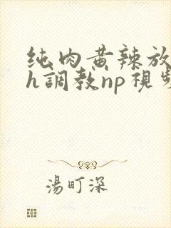 纯肉黄辣放荡高h调教np视频