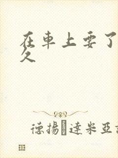 在车上要了我很久