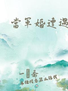 当军婚遭遇爱情