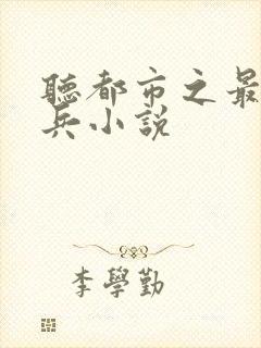 听都市之最强狂兵小说