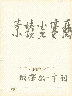 芳姨小伟在人间小说免费阅读