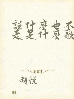 说什么也不让你走是什么歌的歌词