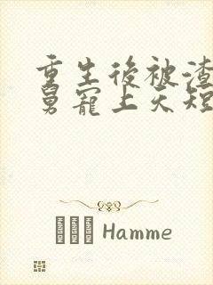 重生后被渣男舅舅宠上天短剧免费看