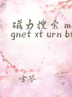 磁力搜索 magnet xt urn btih