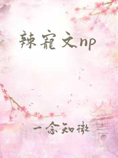 辣宠文np