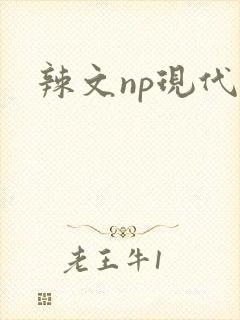 辣文np现代