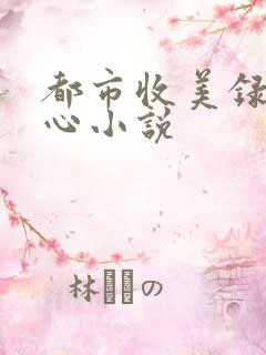 都市收美录宁素心小说