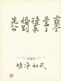 先婚后爱霸道老公别来了全文免费阅读