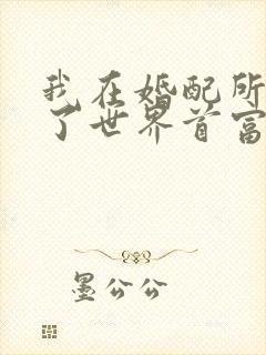 我在婚配所摇到了世界首富小说