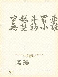 穿越斗罗夺舍火无双的小说