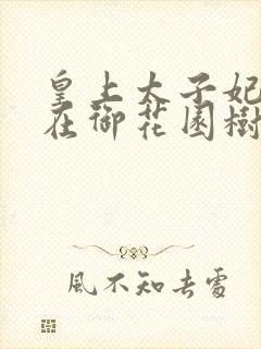 皇上太子妃沈音在御花园树上