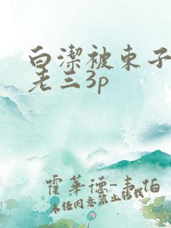 白洁被东子老二老三3p