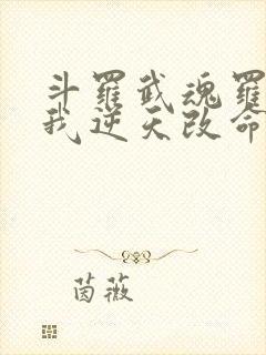 斗罗武魂罗三炮我逆天改命免费阅读