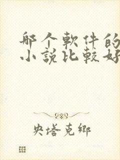 哪个软件的有声小说比较好