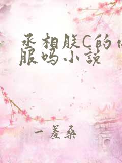 丞相朕C的你舒服吗小说