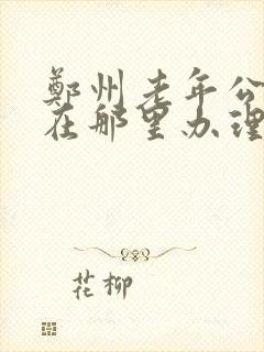 郑州老年公交卡在那里办理