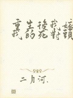 重生后我嫁给了我的死对头