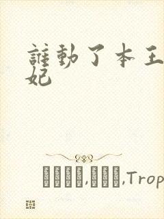 谁动了本王的悍妃