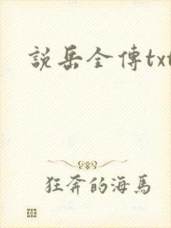 说岳全传txt