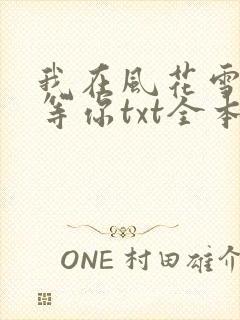 我在风花雪月里等你txt全本