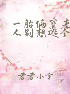 一胎俩宝老婆大人别想逃全文免费阅读