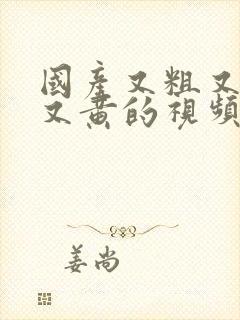 国产又粗又猛爽又黄的视频