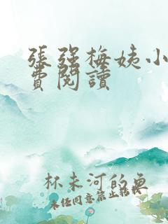 张强梅姨小说免费阅读