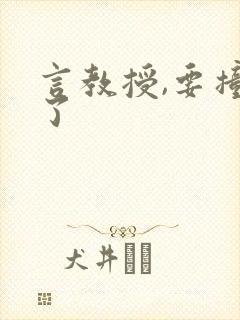 言教授,要撞坏了