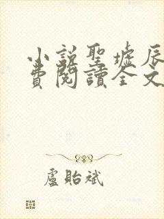 小说圣墟辰东免费阅读全文