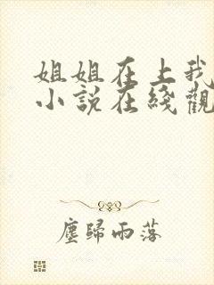 姐姐在上我在下小说在线观看