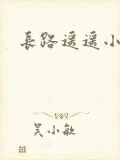 长路遥遥小说