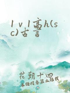 1ⅴ1高h(sc)古言