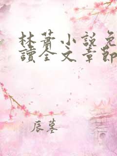 林萧小说免费阅读全文章节