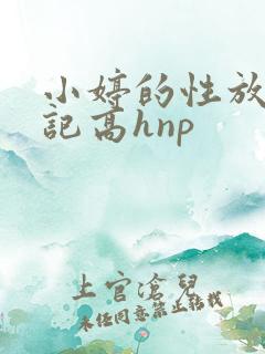 小婷的性放荡日记高hnp