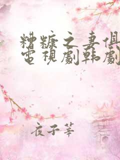 糟糠之妻俱乐部电视剧韩剧国语版全集