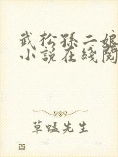 武松孙二娘云雨小说在线阅读