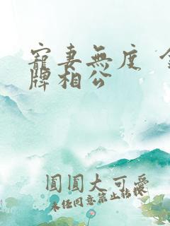 宠妻无度  金牌相公