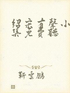 绍宋有声小说全集免费听