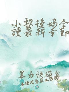 小黎后妈全文阅读最新章节