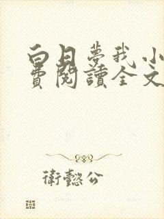 白日梦我小说免费阅读全文无窗口