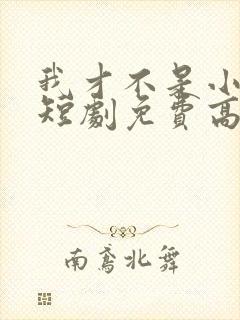 我才不是小可怜短剧免费高清