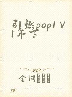 引燃pop1∨1年下