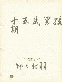 十五岁男孩叛逆期